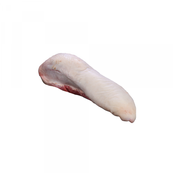 LANGUE DE BOEUF